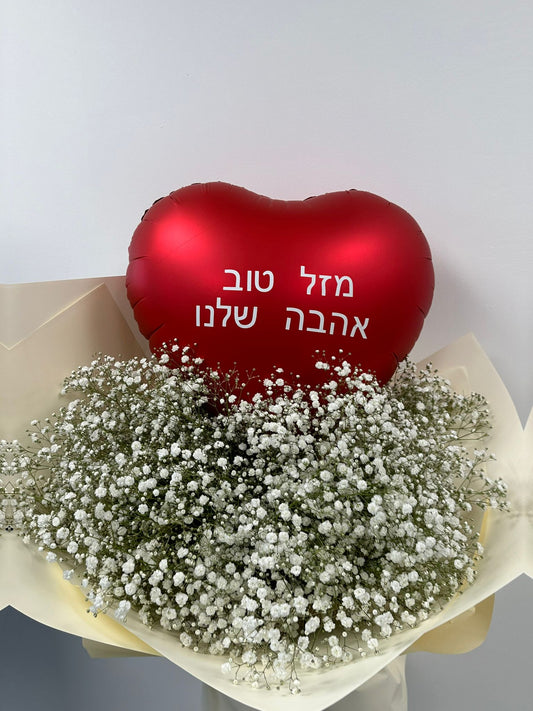 זר גיפסניות